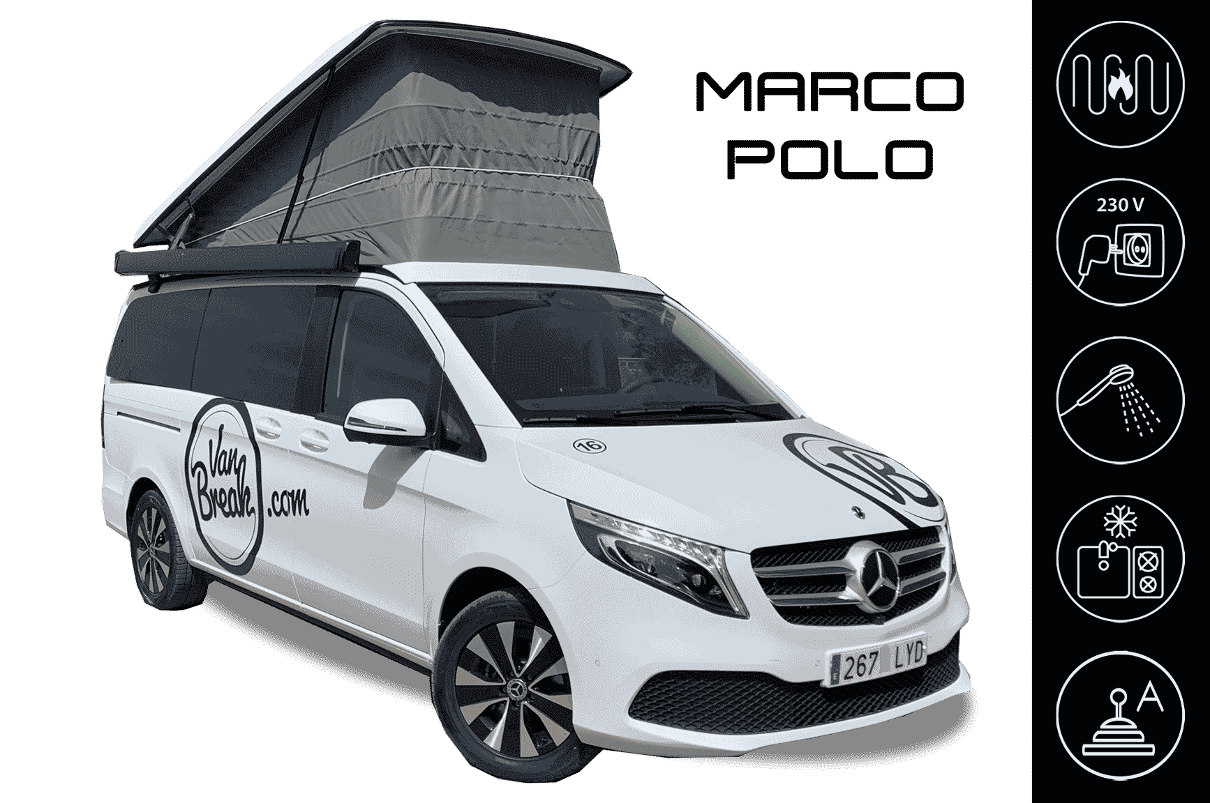 Gear  Margo Polo